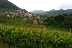 04/05/2017 - Strada del Prosecco e visita guidata presso la Cantina Ca’ Salina di Valdobbiadene (storia del Prosecco e degustazione dei vini)
