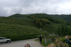 04/05/2017 - Strada del Prosecco e visita guidata presso la Cantina Ca’ Salina di Valdobbiadene (storia del Prosecco e degustazione dei vini)